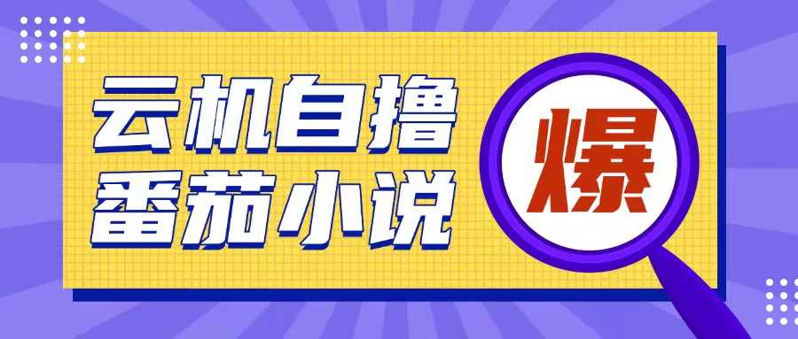 首发云手机自撸小说玩法，10块钱成本可撸200+收益操作简单【揭秘】